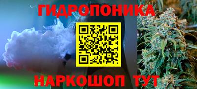 прущие крисы Гусев