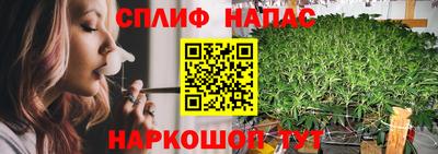 прущие крисы Гусев