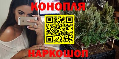 прущие крисы Гусев