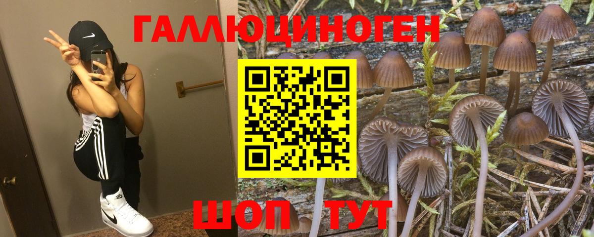 Галлюциногенные грибы Magic Shrooms  Вход с VPN  Кольчугино 